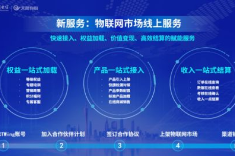 IDC网，探索数字化转型的新疆域