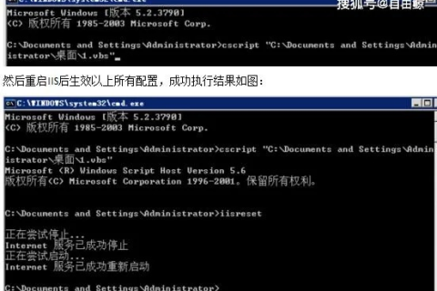 如何查看域名是否被攻击，全面指南