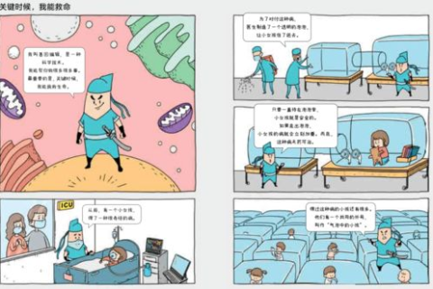 TOM-Z网络科技，引领未来科技趋势的先行者