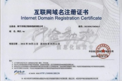 如何快速修改域名证书中的公司名称，详细步骤与在线解答