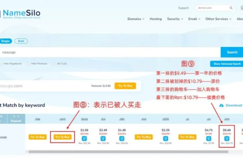 如何购买域名，全面指南