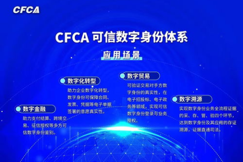 星浪网络，引领未来数字营销的新浪潮