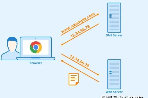 域名解析文件异常，深入解析与应对策略