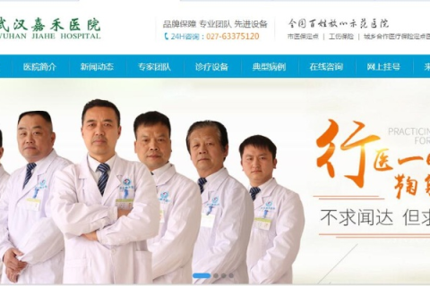 武汉市太康医院网站域名是多少？详解与访问指南