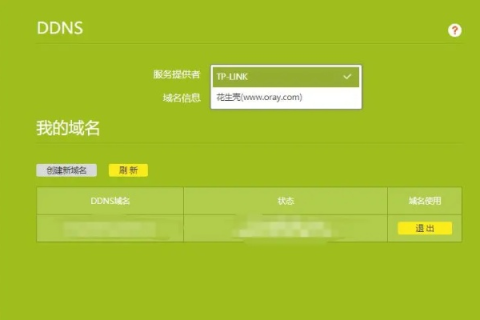 我自己注册了域名之后不知道怎么做？请高手指点