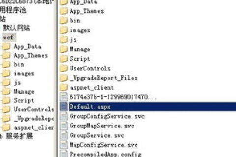 使用IIS 6.0配置ASP动态Web网站，无需域名