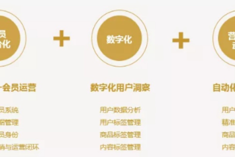 网络时代的百胜网络，如何领跑数字化转型的浪潮
