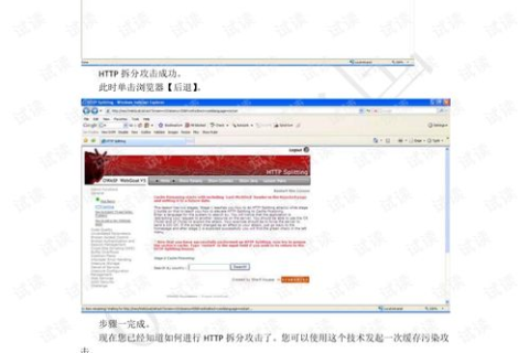 如何高效查询网站域名信息，工具与方法的全面指南