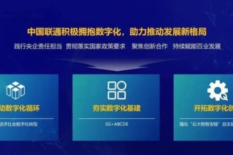 数字化时代的创新决策者（CNIVV）