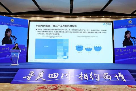 四川数据港，探索西部数字经济的创新引擎