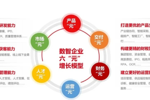 解锁易数据的潜力，数字化时代的精准管理与价值挖掘