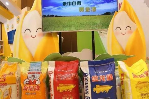 关于注册域名的全面指南，从选择到保护您的在线身份