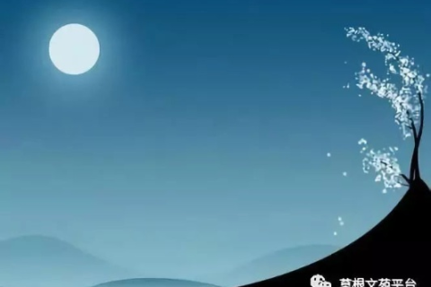 江萍月下的诗意空间，探寻生命中的静谧与美