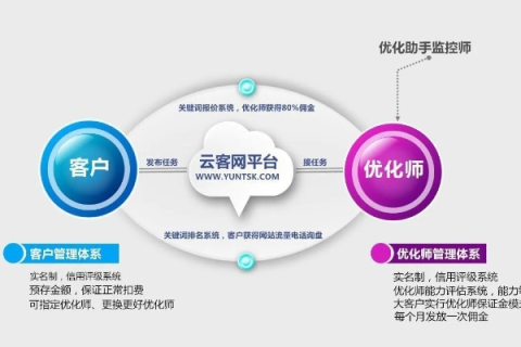 优雅绽放，网馨云的梦幻之旅