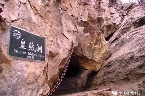 探索数据的奥秘，揭秘幽幽数据背后的世界