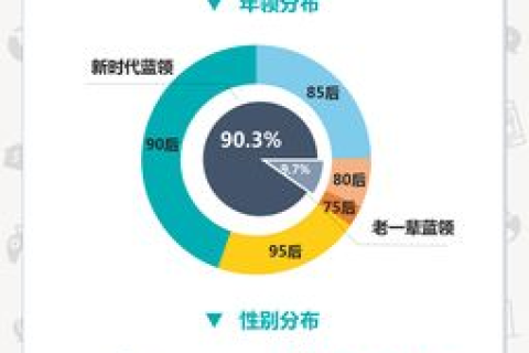 纳网互联，数字化时代下的高效整合与协同