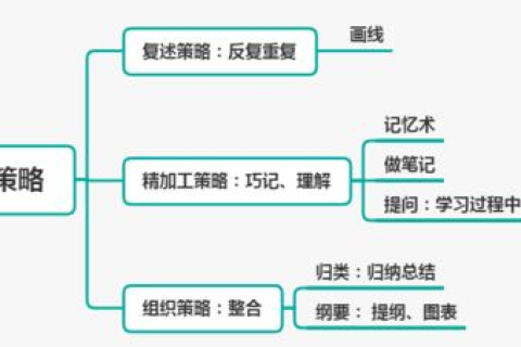 东南亚服务器租用，优势、挑战与选择策略