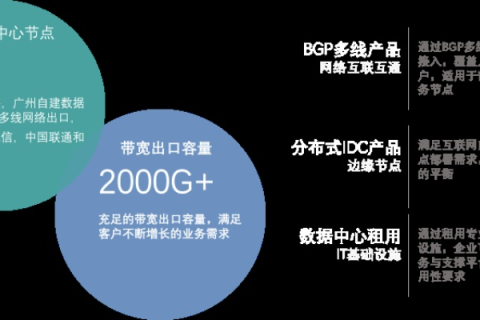 51IDC，全方位解读你的虚拟数据中心服务商