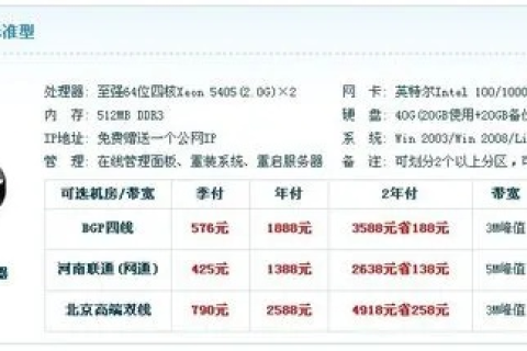 揭秘，为何新购虚拟主机上的域名仅本地可见？