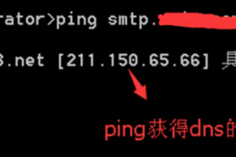 域名无法访问但IP可Ping，解析网络之谜