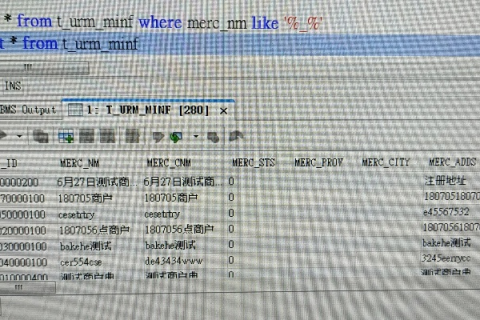 Oracle数据库中查看域名的详细指南