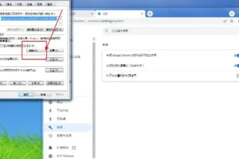 谷歌浏览器提示域名已过期，原因、影响及解决方法