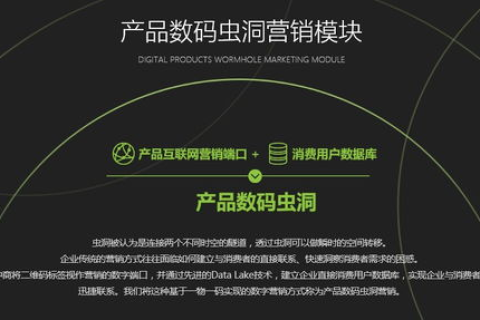 德迅网络，打造数字时代的高效连接者