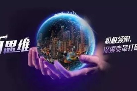新网怎么样？探究新网背后的成长与挑战