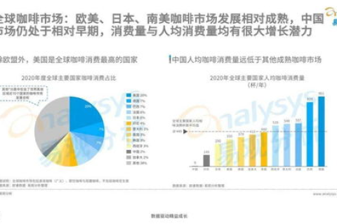 站长工具全面剖析，功能优劣、适用场景及未来趋势