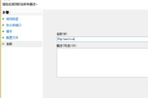为什么同一IIS配置下两个域名偶尔会出现其中一个打不开的情况