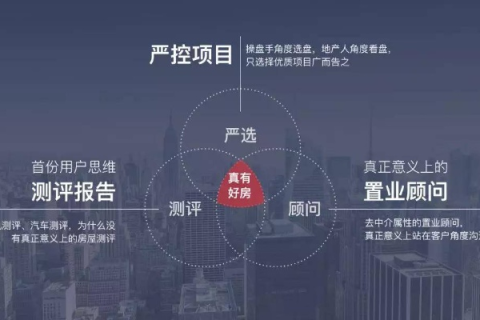 巨盈网络怎么样？一个深入考察与评估