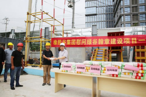 公司域名怎么写，构建品牌在线身份的基石