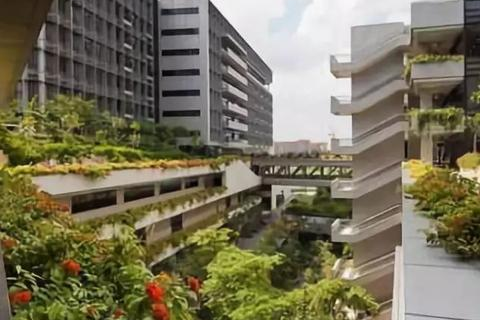 绿化生存空间，打造绿色生活品质