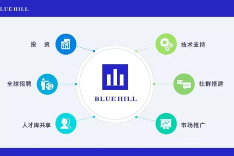 ResellerClub深度解析，是否值得成为其合作伙伴？