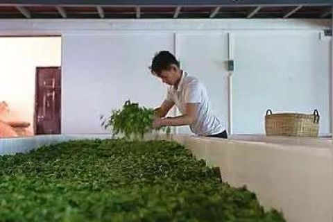 云南数据港，探索数字时代的智慧之路