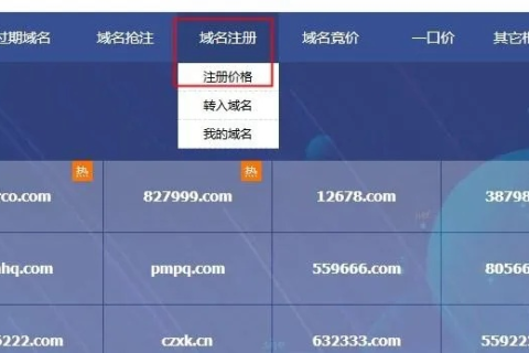 域名注册需要花钱吗？具体需要多少钱？