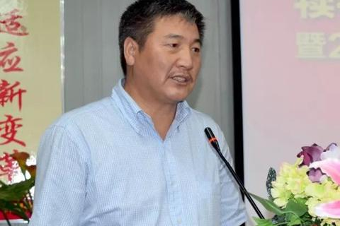 极速互联，重塑数字时代的沟通新纪元