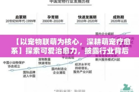 乐猫网络，解析互联网新宠的全面实力与未来展望