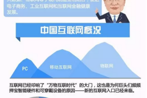 中国互联网，创新、挑战与未来