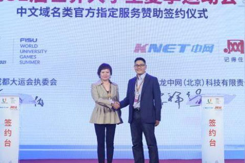 中网国际域名主机，打造稳定高效的在线世界