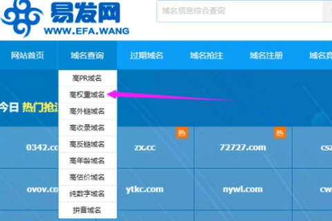 哪里可以买到有百度权重BR值的域名