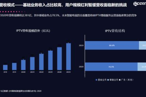 盛世数据，洞悉时代的脉搏，引领未来的决策