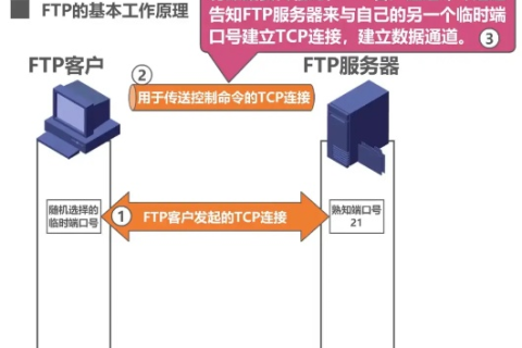 FTP的中文含义，深入解析文件传输协议