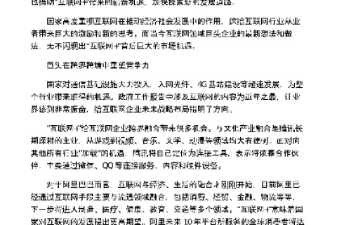 中国竞网，互联网时代下的竞争与机遇并存