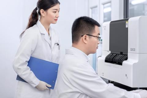 帝网中国，数字化转型下的创新与挑战并存