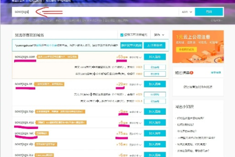 请问在阿里云一元买的域名可以免费解析吗？