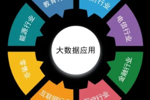 大运数据，探索数据分析背后的智慧与价值