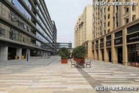 深度解析，中南网络，构建未来数字生活的桥梁