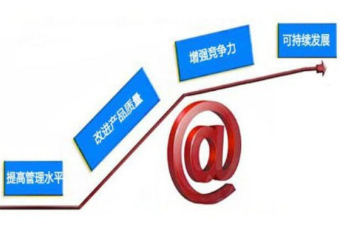 如何打造高效的顶点网络，揭示关键成功因素与实战策略