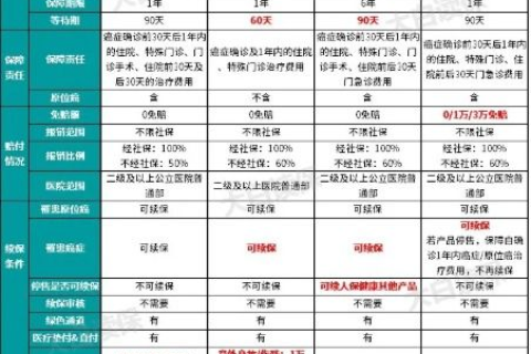 上海网域网全解析，性能、服务、性价比全面剖析